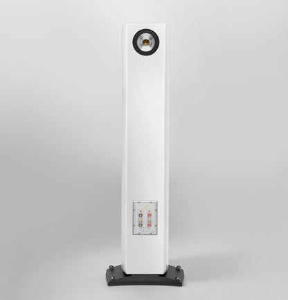 Triangle Magellan - Quatuor 40th